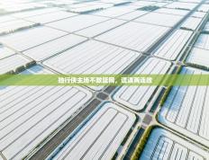 独行侠主场不敌篮网，遭遇两连败