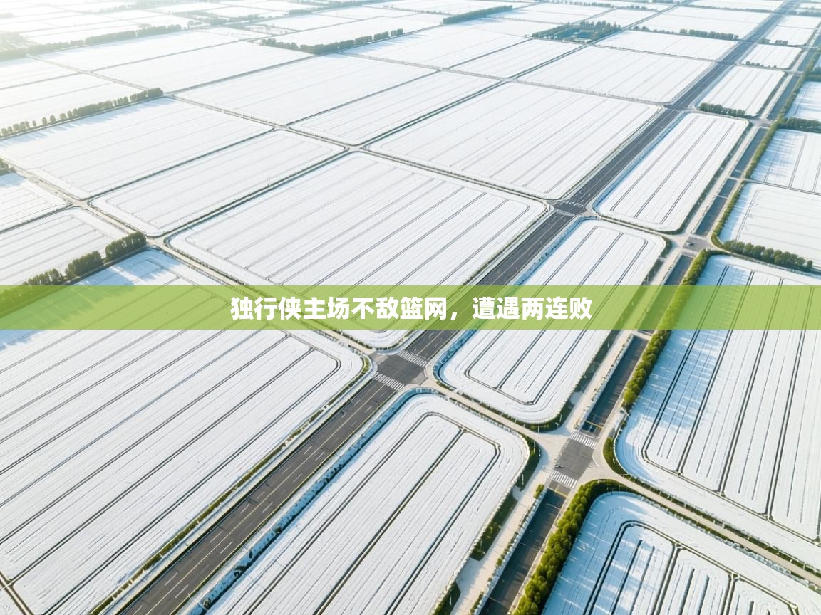 独行侠主场不敌篮网,遭遇两连败 第1张